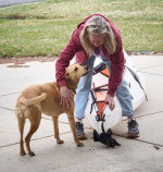 ORU Bay ST folding kayak