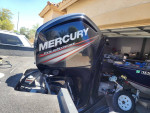 2017 tracker pro guide SC 175