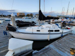 Sailboat Neptune 24