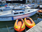 Sailboat Neptune 24