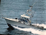 1987 Rampage 31 express, twin diesels, generator Garmin electronic