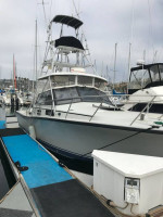 1987 Rampage 31 express, twin diesels, generator Garmin electronic