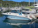 2007 Seaswirl Striper 3301