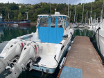 2007 Seaswirl Striper 3301