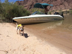 1997 Sea Ray 175 Bowrider with Trailer