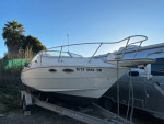 Larson 220 with Mercruiser 454 and Bravo 3