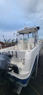 2002 Aquasport 275 Explorer