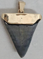 14K Yellow Gold Pendant Natural Black Opal with Shark Tooth