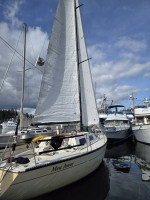 1977 US Yachts 295