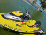15' Sea-Doo RXT-X 260hp + Trailer