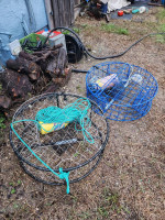 Crab Pot