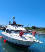 1990 Bayliner Trophy Class 2556 Ciera 26 ft