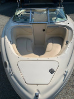 Sea Ray 210
