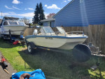 1973 Glastron V156