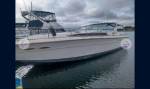 Sea Ray 390 Express Cruiser