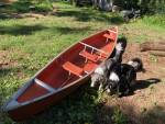 17 ft Coleman canoe