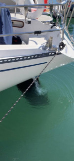 Catalina 38
