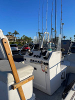 Boston Whaler