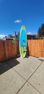Paddleboard