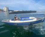 Fantail 217