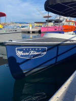 Fantail 217