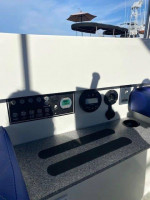 Fantail 217