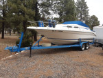 1993 Sea ray EC 250