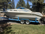 1993 Sea ray EC 250