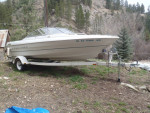 Bayliner