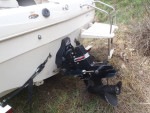 Bayliner