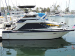 26 Ft. Searay Fly Bridge in Great Condition