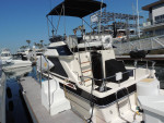 26 Ft. Searay Fly Bridge in Great Condition
