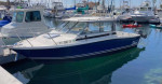 24’ Trophy 2460 Hard Top plus trailer