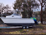 22 ft prokat