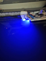 Boston Whaler 13 Sport