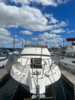 1987 Carver Santego 3067 Fly Bridge