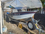 Smoker craft johnson 70hp