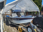 Smoker craft johnson 70hp
