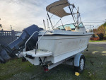 2001 Bayliner trophy 22'