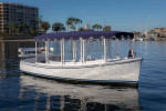 2021 DUFFY ELECTRIC BOAT SUN CRUISER