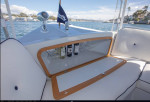 2021 DUFFY ELECTRIC BOAT SUN CRUISER