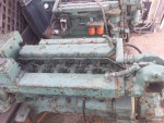 Lugger Marine Diesel