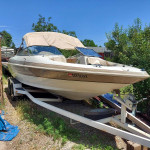 1997 Larson LXI 226 I/O