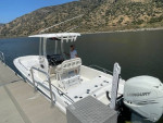 2020 Boston Whaler 240