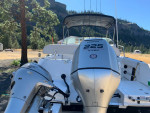 Robalo w/Honda 225 2006