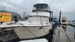 1994 Carver 390 Motoryacht
