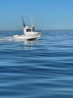 the world's nicest 17ft Arima Sea Chaser 90hp custom hardtop turnkey