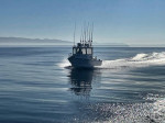the world's nicest 17ft Arima Sea Chaser 90hp custom hardtop turnkey