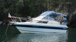 1987 Campion 250 Offshore