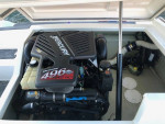28' CONQUEST  TOP CAT